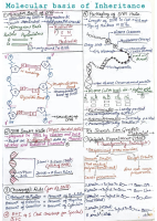 Molecular basis of Inheritance.pdf